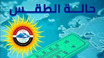 تحذير لمرضى الحساسية.. حالة الطقس المتوقعة خلال الساعات المقبلة في مصر